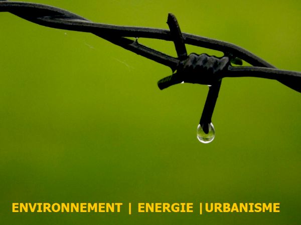 Découvrez notre Newsletter n° 07 - Décembre 2019 : Environnement, énergie et urbanisme 